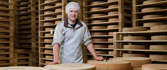 Collaboratore con formaggio Collaboratore con formaggio